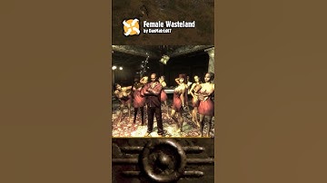 Mod Turns ALL Men into Women in #Fallout 3