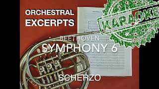 ORCHESTRAL EXCERPT for FRENCH HORN 17: Beethoven. Symphony 6.  Scherzo PLAY ALONG