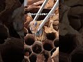スズメバチの巣を壊した犯人は… #スズメバチ #寄生虫 #ヒヨコ