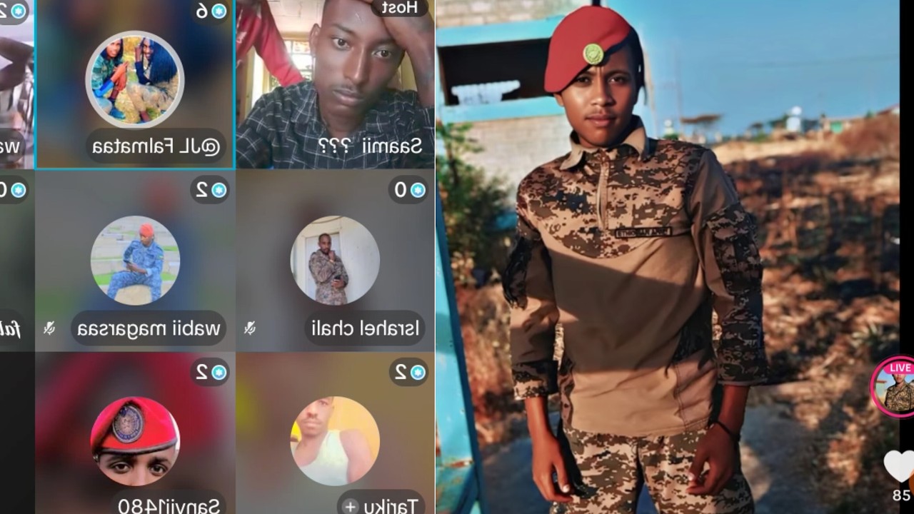 Haasaa Wbo (Waraana Bilisummaa Oromoo Fi Raayyaa Ittisa Biyya