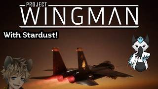 Noob Plays Project Wingman With Stardust VA (Nathan Suhara) screenshot 5