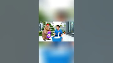 Capy cùng anh giúp bà tắm cho ngỗng và cái kết #capybara