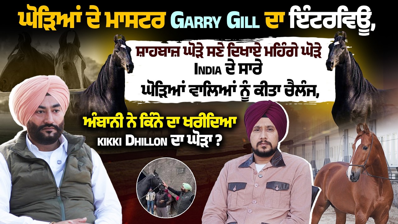 ਘੋੜਿਆਂ ਦੇ ਮਾਸਟਰ Garry Gill ਦਾ ਇੰਟਰਵਿਊ, ਸ਼ਾਹਬਾਜ਼ ਘੋੜੇ ਸਣੇ ਦਿਖਾਏ ਮਹਿੰਗੇ ਘੋੜੇ India ਦੇ ਸਾਰੇ ਘੋੜਿਆਂ ...