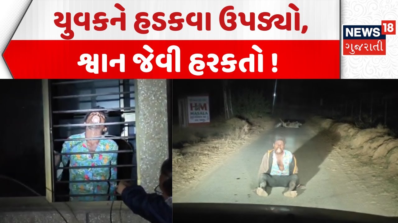 Banaskantha News: 3 મહિના પહેલાં શ્વાન કરડ્યું, હવે થયો હડકવા | Dog Bite | Rabies | Palanpur