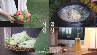 ENG SUB) Fresh Korean Cabbage Kimchi \& Manila Clam Handmade Kalguksu