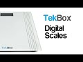 Tekbox digital bathroom scales