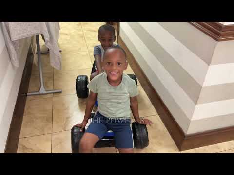 We bought the boys new pet Dogs .