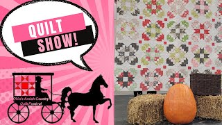 Amish Country Quilt Festival, Mount Hope, Ohio!  All the Quilts! #quilting #sewing #quiltshow
