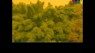 Mega Sutra Pantai Carita (Asep Darso)