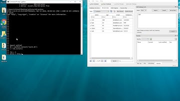 Python SQLite3 Tutorial 5 - How to delete items from tables