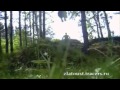 Download Reportage ZlatTV 2007 Reportage ZlatTV 2007