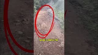 Trail Running Tips and Tricks