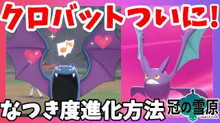 ポケモンソードシールド クロバットはなつき度進化 効率的になつき度進化 アメは使わない方法で図鑑ゲット 冠の雪原エキスパンションパス Youtube