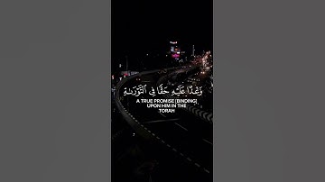 ان الله اشترى من المؤمنين سورة التوبة تلاوات خاشعة للشيخ محمد صديق المنشاوي #اكسبلور #ارحقلبك #دويتو