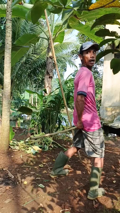 salah sasaran video lucu sunda #videolucu #videolucubikinngakak #videoluculucu‎