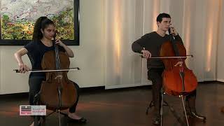 CELLO MASTERCLASS- ALEXANDER TECHNIQUE BONES AND SCALES STRUCTURE - excerpt