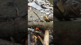 Кабардинка Геленджик водопад Зеленый.