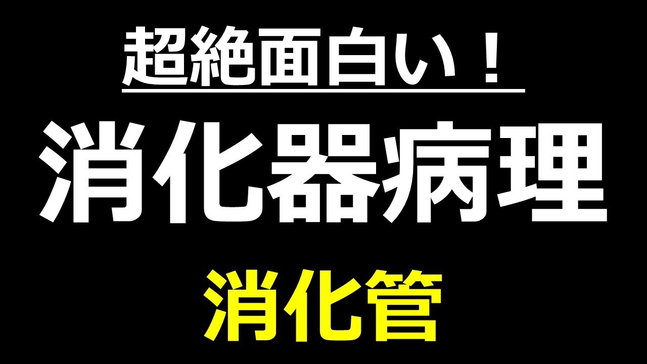 描いて覚える消化器病理 膵臓の正体は だった 神回 Youtube 描いて覚える消化器病理 膵臓の正体は だった 神回 Youtube