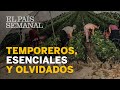 Temporeros, esenciales y olvidados | Reportaje | El País Semanal