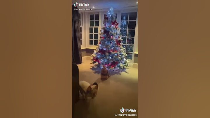 Perrie edwards decorate Her house for Christmas!