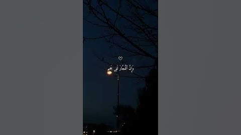 #قارئ_#ماهر_المعيقلي #تيك_توك #اكسبلور #قراءة_مؤثرة #قرآن #لايك #قران_كريم