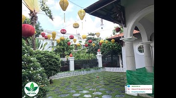 Thi Công Sân Vườn Biệt Thự Bằng Cỏ Nhung Nhật Và Đá Dẫm Bước Tự Nhiên