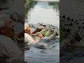 Crocodile 🐊 Attack 🤯#shorts #crocodile #trending @MrBeast