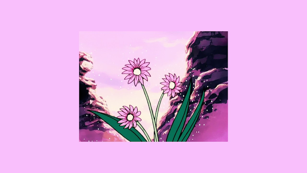 Shimmertraps - Stacey