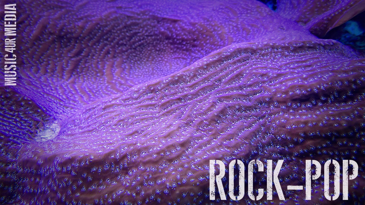 Upbeat Background Music - 439_Rock Party - by MusicForYourMedia - YouTube