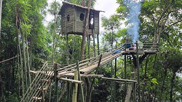 Surviving in the Tropical Rainforest: Building a High Treehouse to Avoid Danger