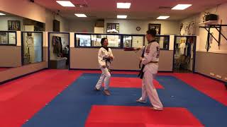 Orange Belt Kicking Combination