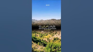 تلاوة خاشعة قرأن كريم راحة نفسية #elmulquranعلم #تلاوة #قران_كريم #اكسبلور #المصحف #trend