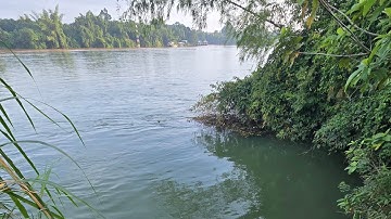 Câu  cá Trạm bơm nước  nhà máy  Đường ,  bãi câu   độ dốc   15m .