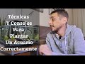  tcnicas y consejos para plantar un acuario correctamente acuarios mb