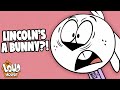 Lincoln turns into a bunny   white hare  the loud house
