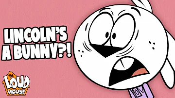 Lincoln Turns Into A Bunny 🐰  White Hare | The Loud House