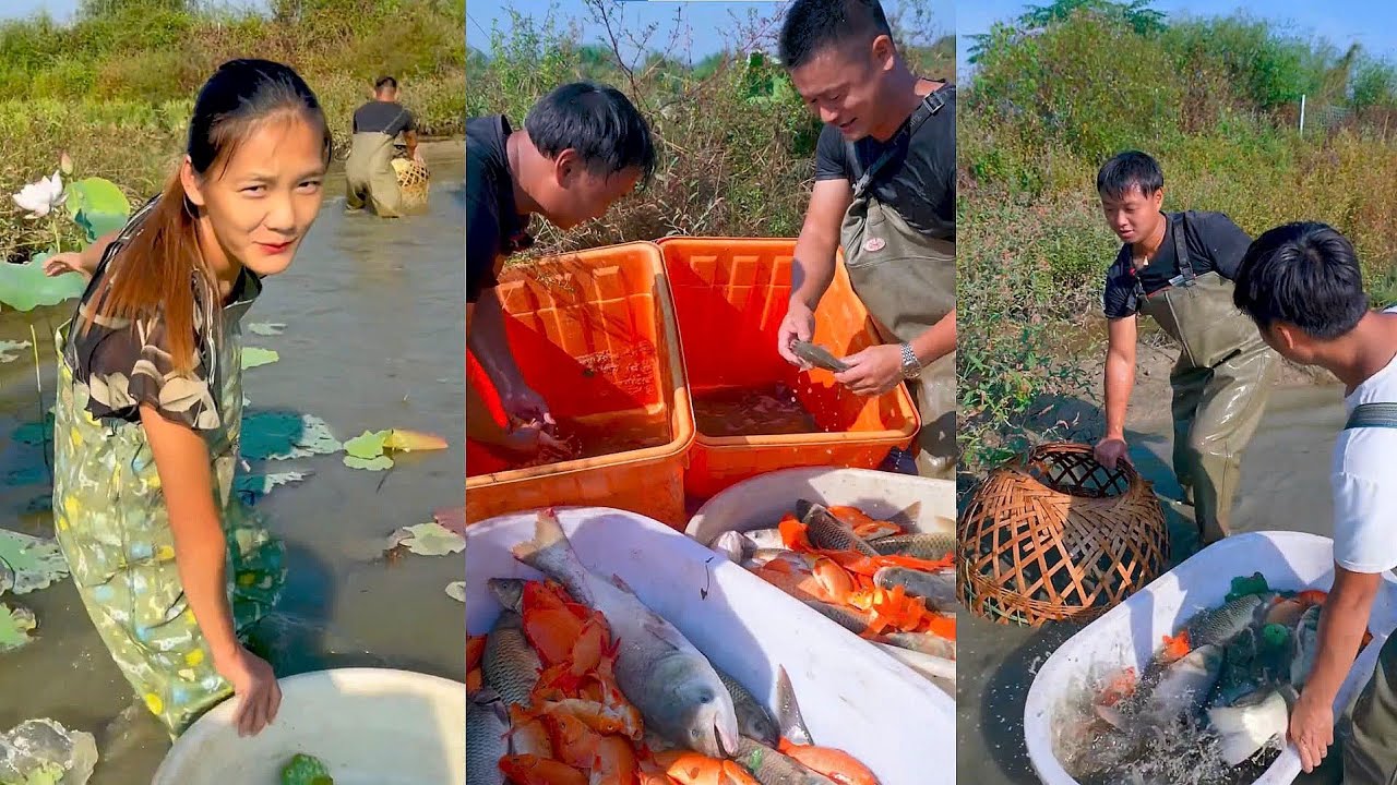 Đại biểu ca khiêu chiến mỹ nữ bắt cá, cái kết khiến ai nấy há hốc mồm