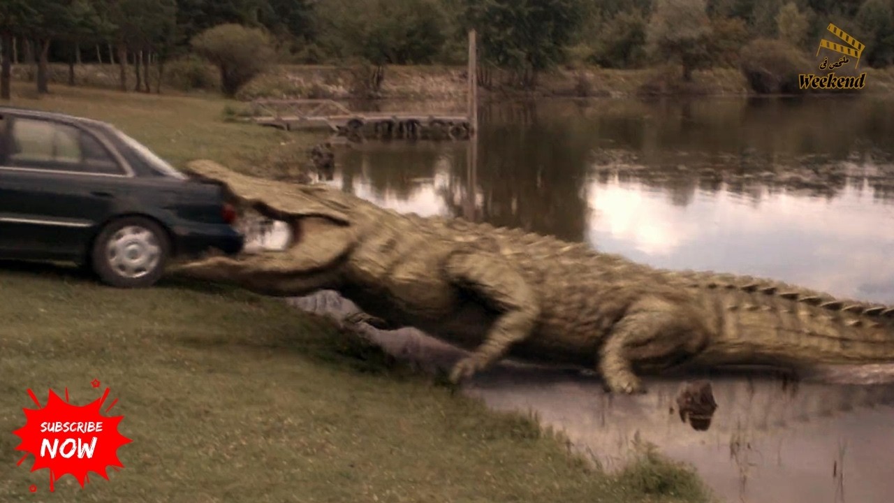 ولد صغير بيربى مجموعة تماسيح صغيرة 🐊 | فلما يكبروا بيطلعوا عين أمه 😱 | الجزء الثالث من Lake Placid 🎬