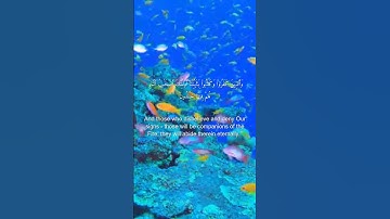 سورة البقرة من الاية 39 الي الاية 40 بصوت القارئ محمود علي البنا