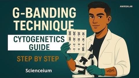 G- Banding technique| Step By Step Cytogenetics Guide