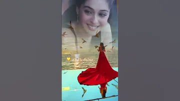 هاني شاكر محتاجلك يا أغلى الناس 