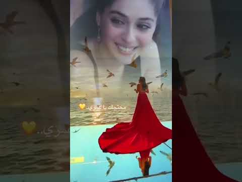 هاني شاكر محتاجلك يا أغلى الناس