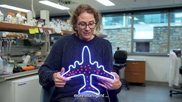 What is TN-seq? How Stowers researchers used this approach in deadly fungal infection study