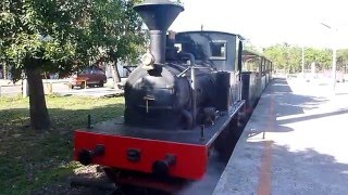 騰雲號英姿~~~東勢客家文化園區1041228