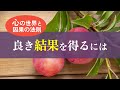未来を好転させる「因果の法則」とは？――よき想念の種をまく