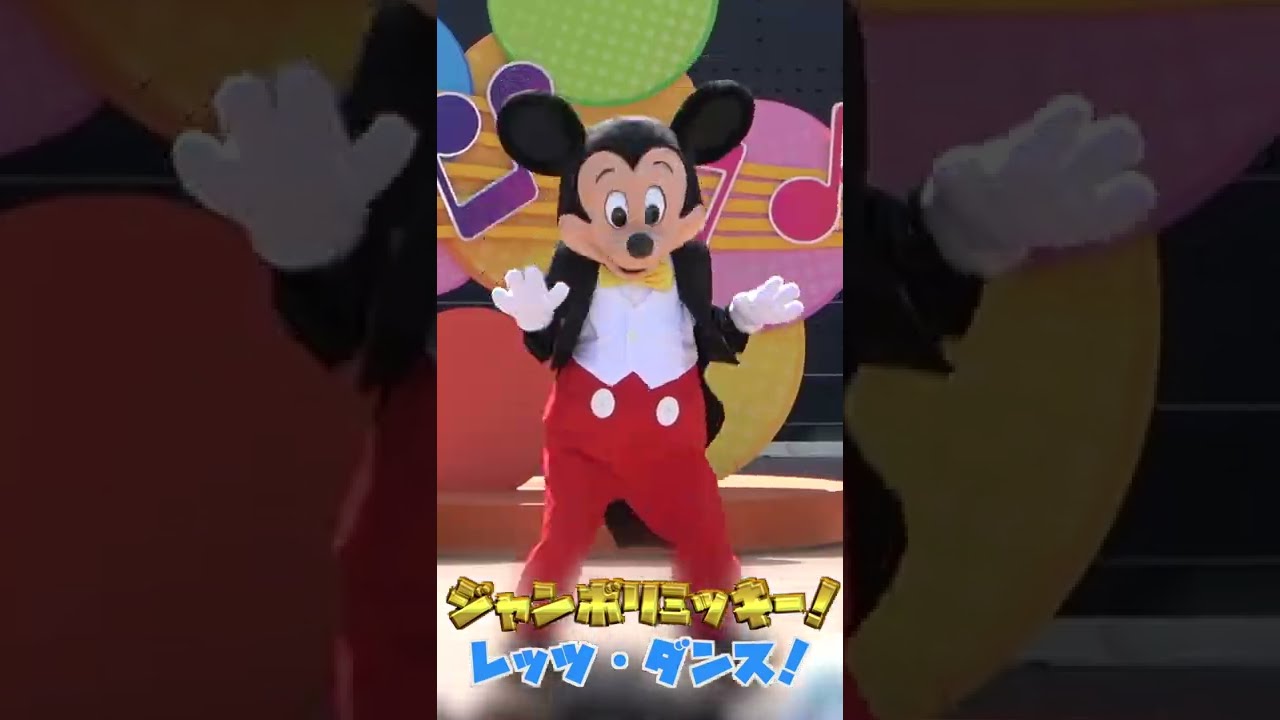 ºoº[ 4K × ディズニー ] ディズニーランド スーパードゥーパー