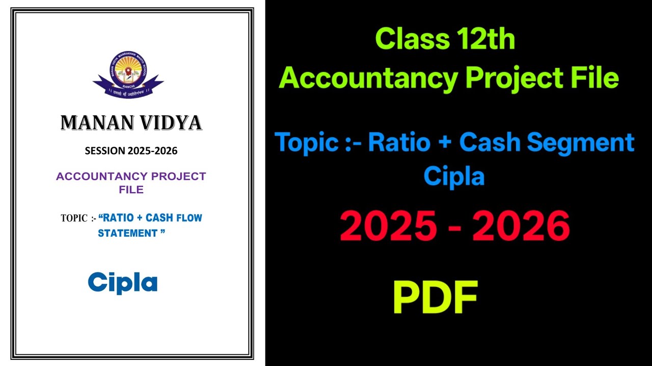 Class 12 Accountancy Project File 2025-26 | Ratio & Cash Segment of ...