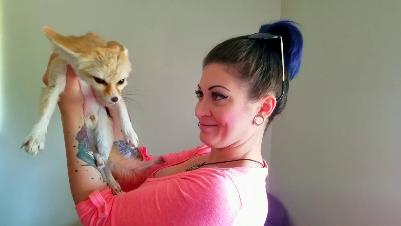 lunarly Fennec Fox Cuddles & Kisses