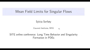 Sylvia Serfaty, Courant Institute of Mathematical Sciences