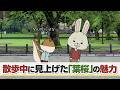 紙兎ロペ「葉桜」編
